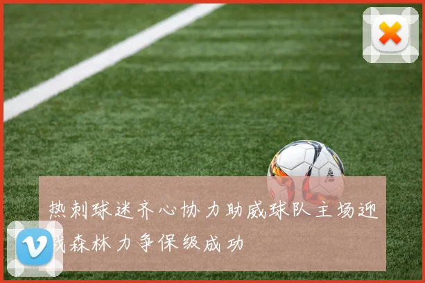 热刺球迷齐心协力助威球队主场迎战森林力争保级成功