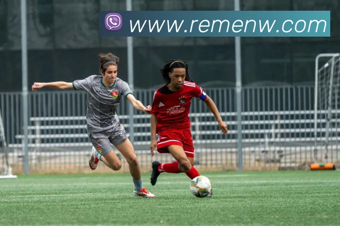 九游在线官方网站APP 封面图